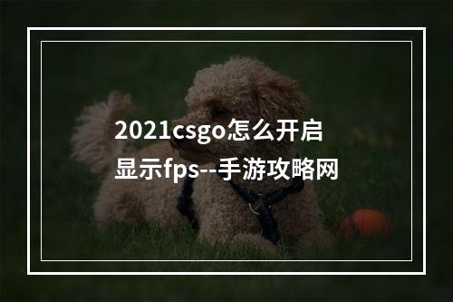 2021csgo怎么开启显示fps--手游攻略网