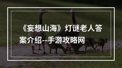 《妄想山海》灯谜老人答案介绍--手游攻略网