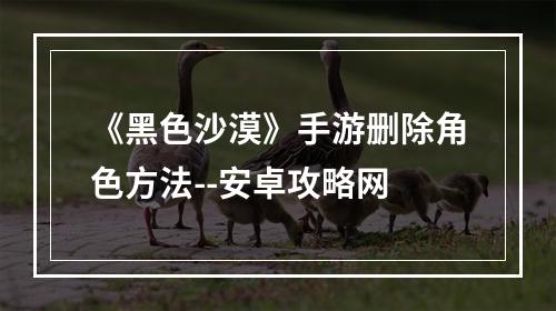 《黑色沙漠》手游删除角色方法--安卓攻略网