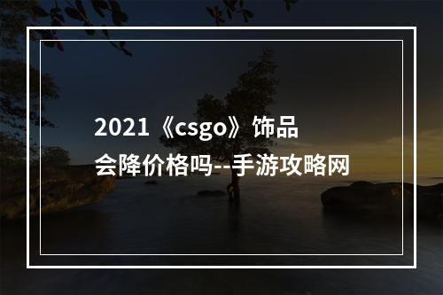 2021《csgo》饰品会降价格吗--手游攻略网