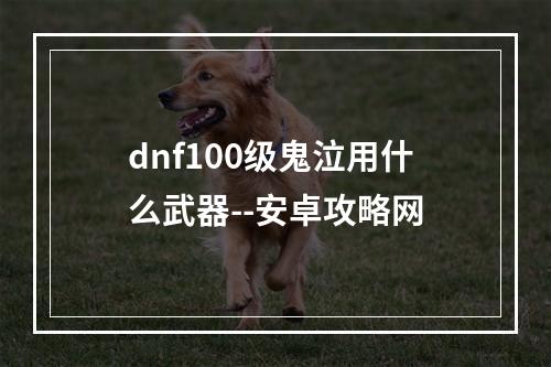 dnf100级鬼泣用什么武器--安卓攻略网