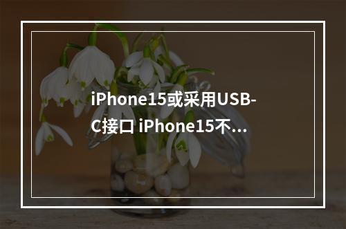 iPhone15或采用USB-C接口 iPhone15不再采用专用Lightning口--手游攻略网