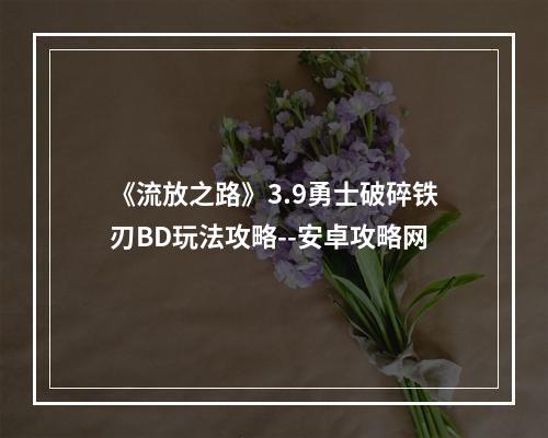 《流放之路》3.9勇士破碎铁刃BD玩法攻略--安卓攻略网