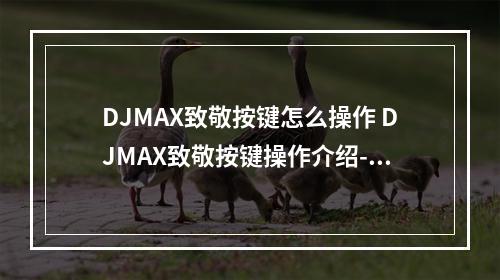 DJMAX致敬按键怎么操作 DJMAX致敬按键操作介绍--手游攻略网