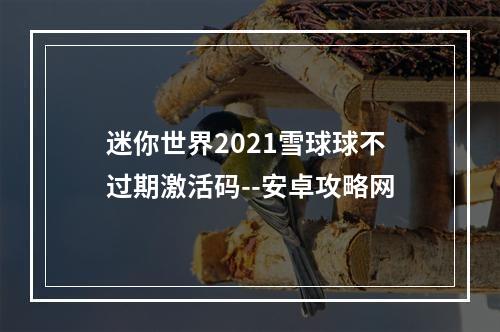 迷你世界2021雪球球不过期激活码--安卓攻略网