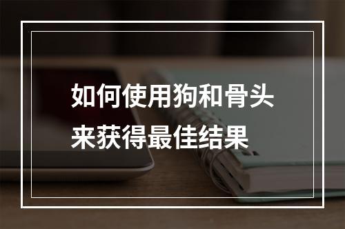 如何使用狗和骨头来获得最佳结果