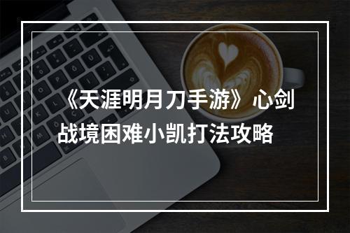 《天涯明月刀手游》心剑战境困难小凯打法攻略