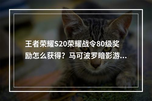 王者荣耀S20荣耀战令80级奖励怎么获得？马可波罗暗影游猎皮肤获取攻略[多图]