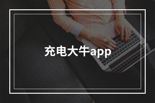 充电大牛app