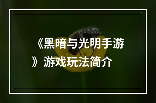 《黑暗与光明手游》游戏玩法简介