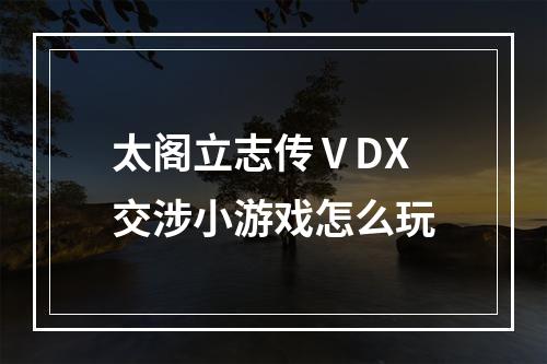 太阁立志传ⅤDX交涉小游戏怎么玩