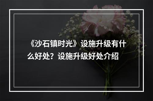 《沙石镇时光》设施升级有什么好处？设施升级好处介绍