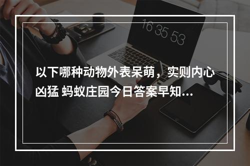 以下哪种动物外表呆萌，实则内心凶猛 蚂蚁庄园今日答案早知道6月4日