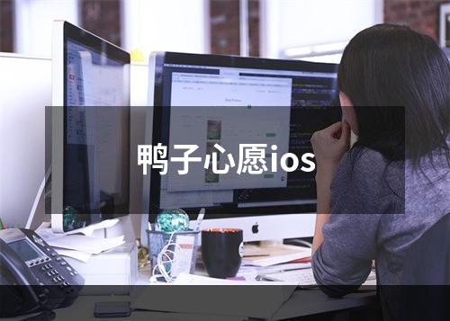 鸭子心愿ios