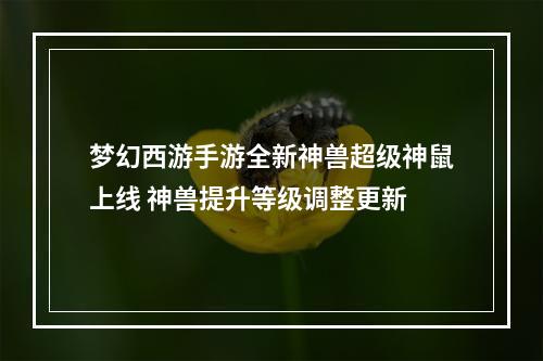 梦幻西游手游全新神兽超级神鼠上线 神兽提升等级调整更新