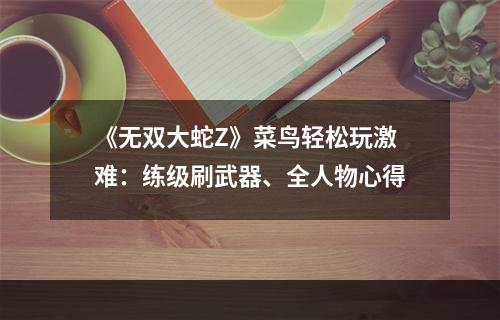 《无双大蛇Z》菜鸟轻松玩激难：练级刷武器、全人物心得