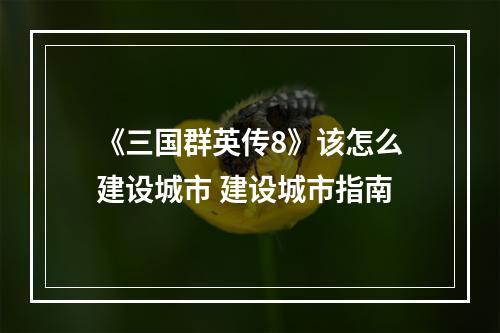 《三国群英传8》该怎么建设城市 建设城市指南