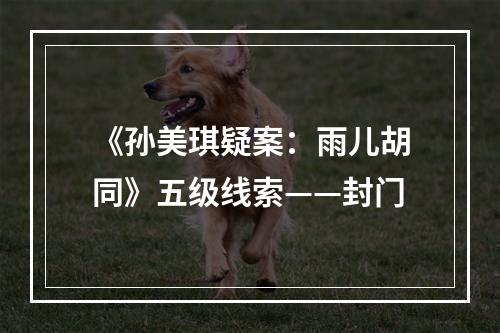 《孙美琪疑案：雨儿胡同》五级线索——封门