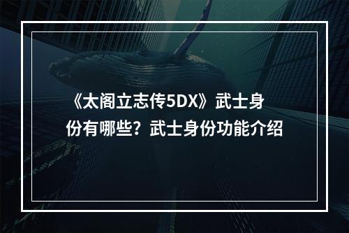 《太阁立志传5DX》武士身份有哪些？武士身份功能介绍