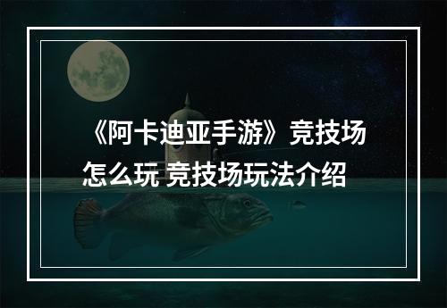 《阿卡迪亚手游》竞技场怎么玩 竞技场玩法介绍