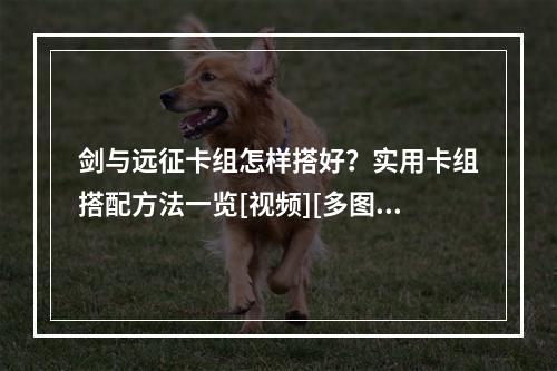 剑与远征卡组怎样搭好？实用卡组搭配方法一览[视频][多图]