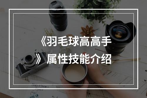 《羽毛球高高手》属性技能介绍