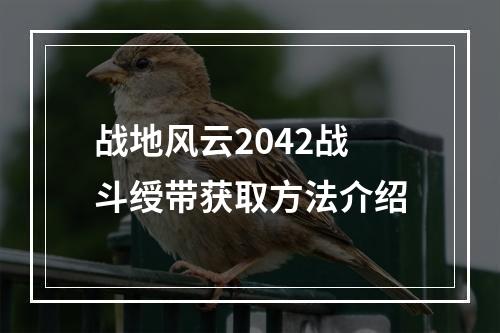 战地风云2042战斗绶带获取方法介绍