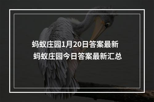 蚂蚁庄园1月20日答案最新 蚂蚁庄园今日答案最新汇总