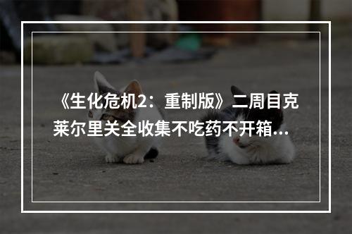 《生化危机2：重制版》二周目克莱尔里关全收集不吃药不开箱14000步内通过流程攻略