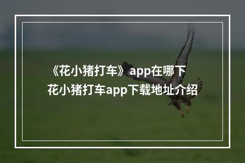 《花小猪打车》app在哪下 花小猪打车app下载地址介绍