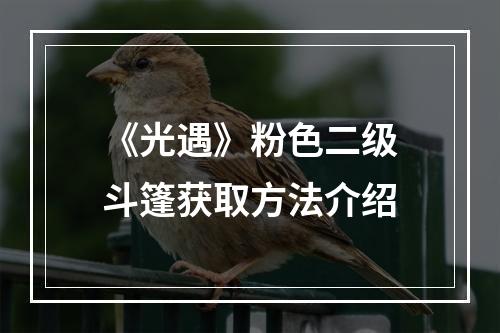 《光遇》粉色二级斗篷获取方法介绍