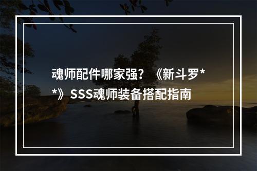 魂师配件哪家强？《新斗罗**》SSS魂师装备搭配指南