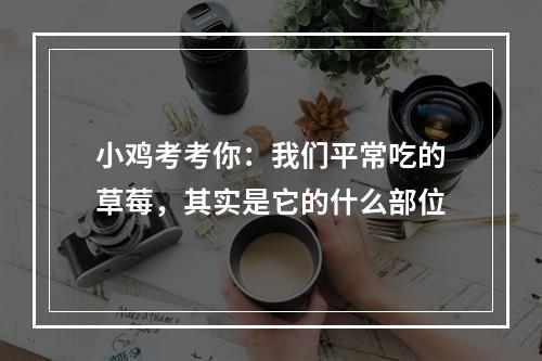 小鸡考考你：我们平常吃的草莓，其实是它的什么部位