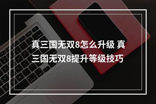 真三国无双8怎么升级 真三国无双8提升等级技巧