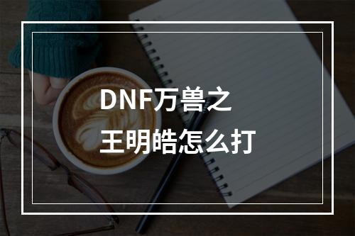 DNF万兽之王明皓怎么打