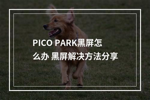 PICO PARK黑屏怎么办 黑屏解决方法分享