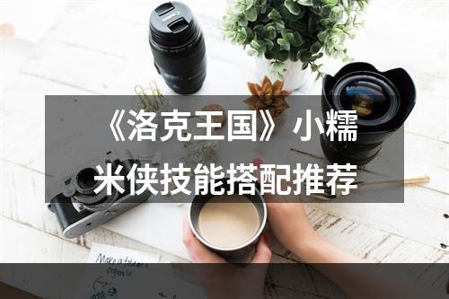 《洛克王国》小糯米侠技能搭配推荐