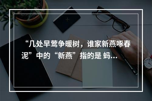 “几处早莺争暖树，谁家新燕啄春泥”中的“新燕”指的是 蚂蚁庄园今日答案11月9日