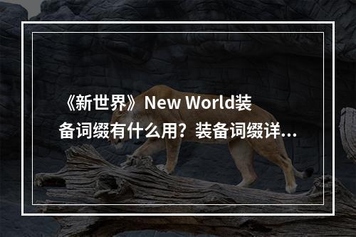 《新世界》New World装备词缀有什么用？装备词缀详解