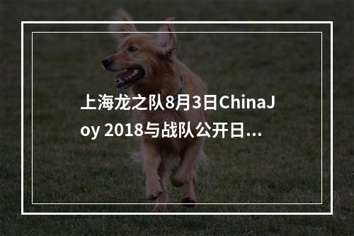 上海龙之队8月3日ChinaJoy 2018与战队公开日活动行程正式公布