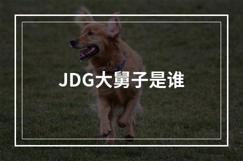 JDG大舅子是谁