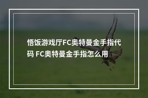 悟饭游戏厅FC奥特曼金手指代码 FC奥特曼金手指怎么用