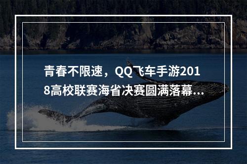 青春不限速，QQ飞车手游2018高校联赛海省决赛圆满落幕！