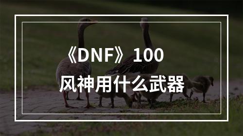 《DNF》100风神用什么武器