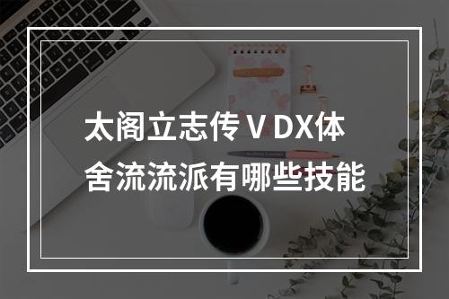 太阁立志传ⅤDX体舍流流派有哪些技能