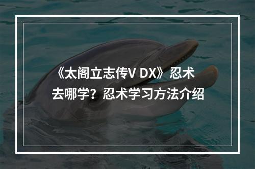 《太阁立志传V DX》忍术去哪学？忍术学习方法介绍