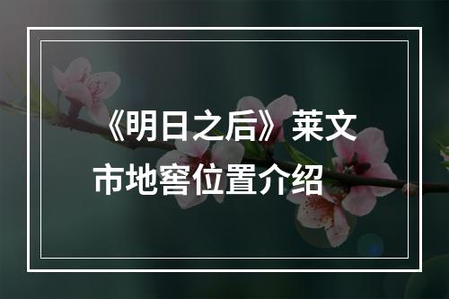 《明日之后》莱文市地窖位置介绍