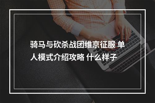 骑马与砍杀战团维京征服 单人模式介绍攻略 什么样子