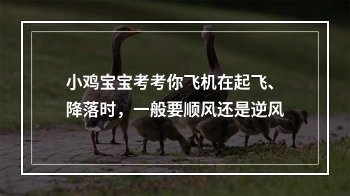 小鸡宝宝考考你飞机在起飞、降落时，一般要顺风还是逆风