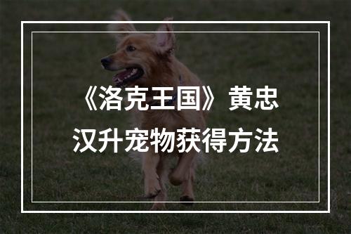 《洛克王国》黄忠汉升宠物获得方法